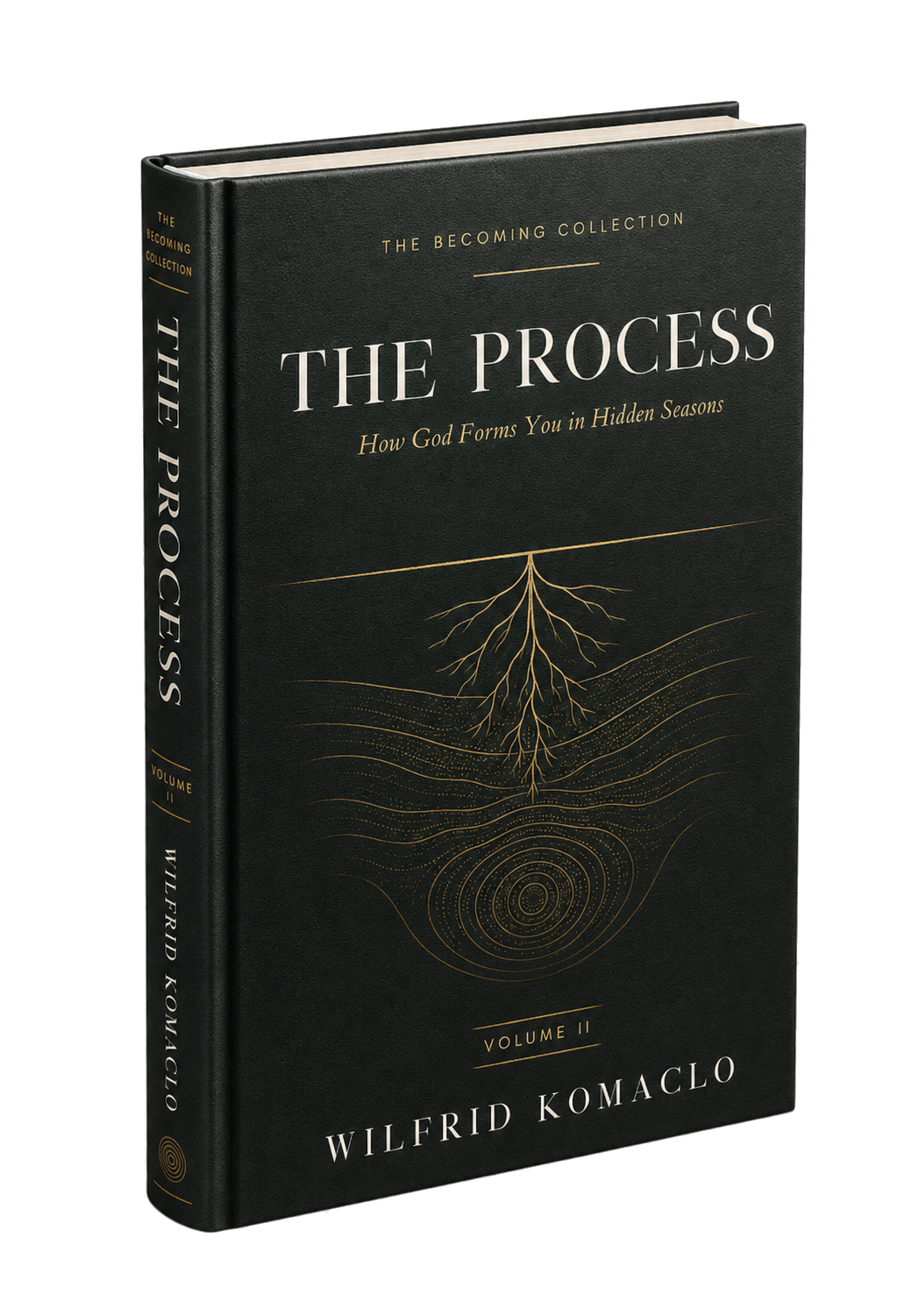 The Process book mockup